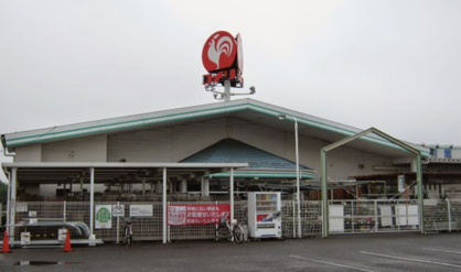 コメリハード&グリーン市原古市場店の画像1