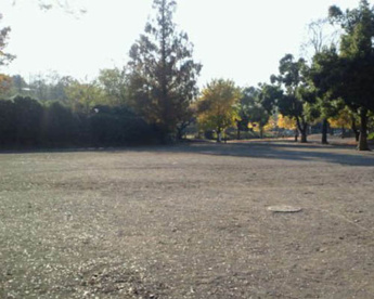 戸山公園 多目的運動広場の画像1
