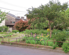 新宿区立戸山三丁目公園