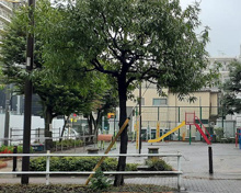公園 新宿区立津の守坂児童遊園