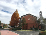 大学 私立東洋英和女学院大学