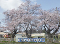 石神幼稚園