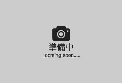 ザ・ダイソー 愛西プラザ店の画像1