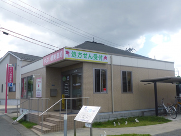 やよい調剤薬局の画像1