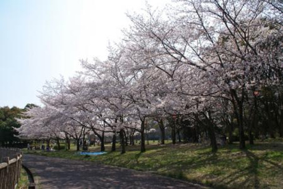 御池公園の画像1