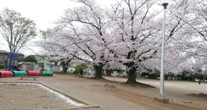 小倉台公園の画像1