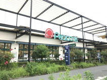 株式会社大丸ピーコック藤沢トレアージュ白旗店