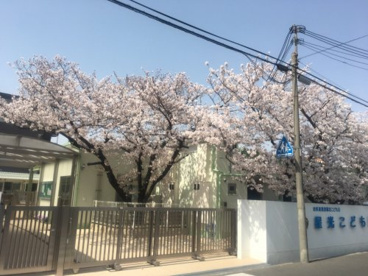 星光こども園の画像1
