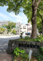 沢渡中央公園
