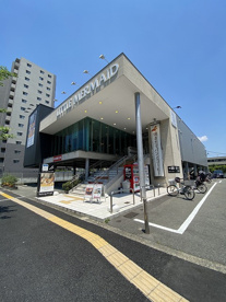 リトルマーメイド　江坂店の画像1