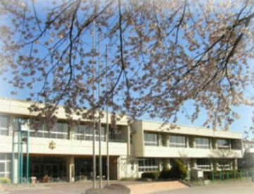 つくば市立手代木南小学校の画像1