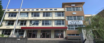 原良小学校の画像1