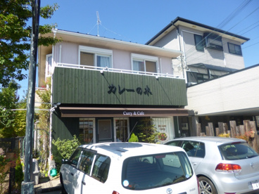 カレー木の画像1