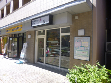 杏の画像1