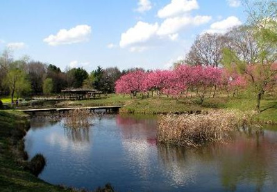 古河公方公園(古河総合公園)の画像1