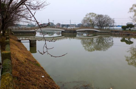 旧川ふるさと公園の画像