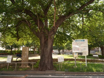 西原ふれあい第一公園