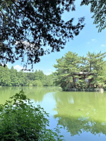 石神井公園の画像5