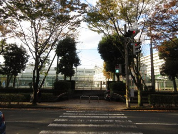 横浜市立帷子小学校の画像2