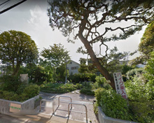 目黒区立碑文谷公園「花の公園」