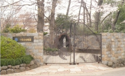 小百合幼稚園の画像