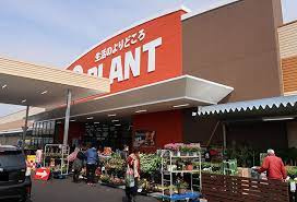 PLANT(プラント) 木津川店の画像1