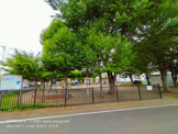 公園