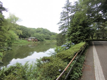 県立 三ツ池公園の画像1