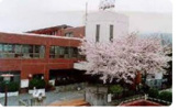さかいだに幼稚園