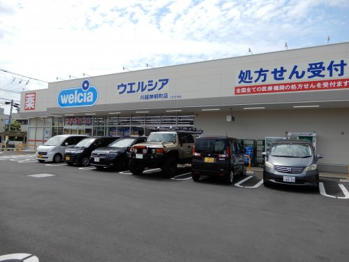 の画像
