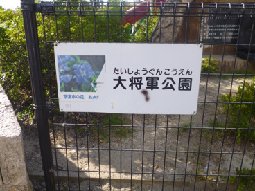 大将軍公園の画像1