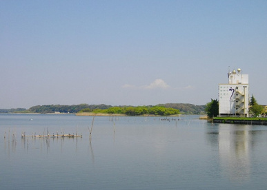 牛久沼水辺公園の画像1