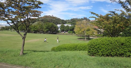 日野中央公園の画像1