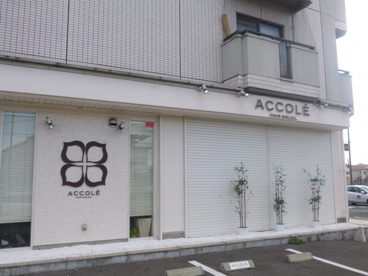 ACCOLEの画像1