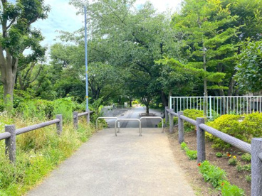 和泉川緑のウォークの画像2