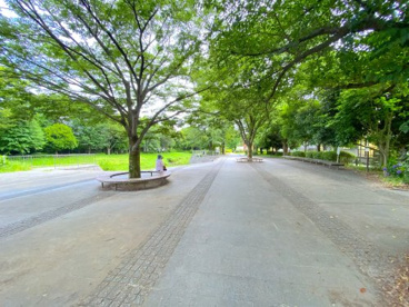 和泉川緑のウォークの画像5