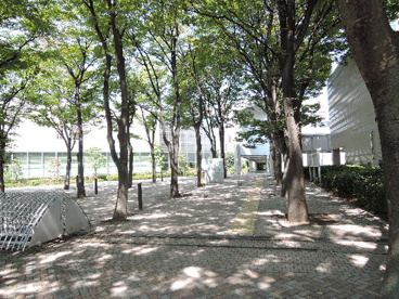 首都大学東京　荒川キャンパスの画像4