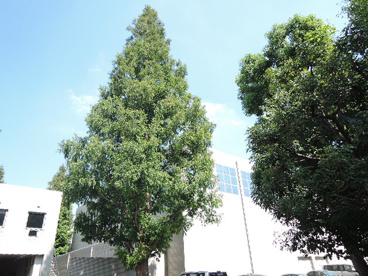 首都大学東京　荒川キャンパスの画像5