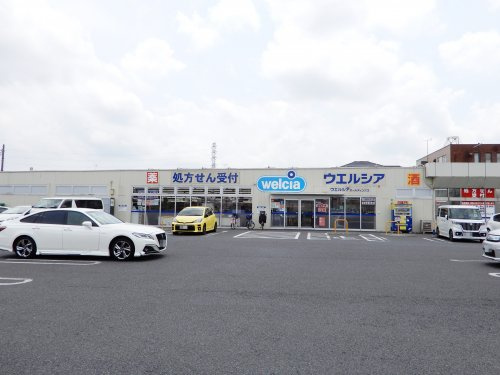 の画像