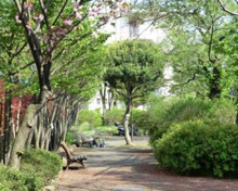 芳窪街かど公園