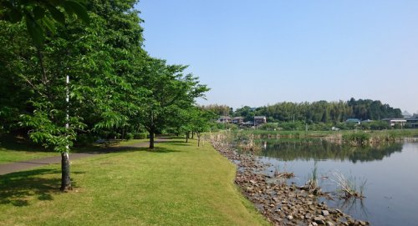 大百池公園の画像1
