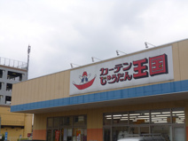 カーテンじゅうたん王国