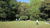 田園調布せせらぎ公園