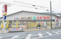 スギドラッグ 御陵店の画像1