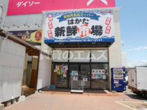 はかた新鮮市場