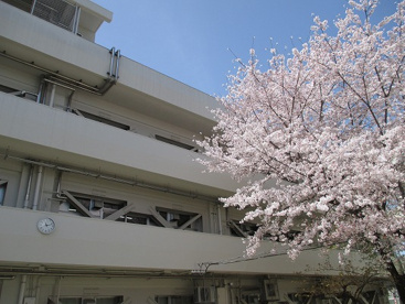 吹田市立吹田東小学校の画像1