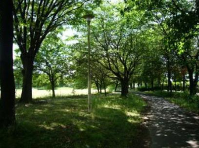 加須北部公園の画像