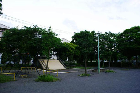 いちょう公園の画像