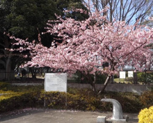 やくも街かど公園