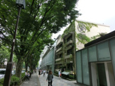 表参道ヒルズ